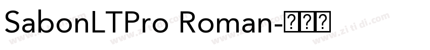 SabonLTPro Roman字体转换
